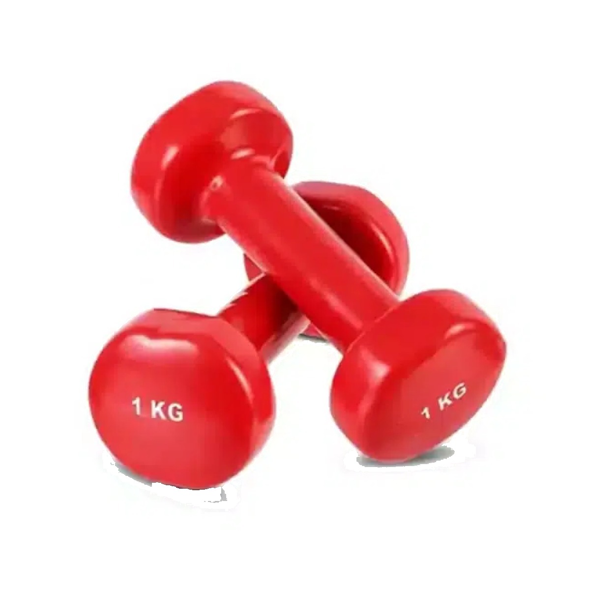 1kg Vinyl Dumbbell Pair | Non-Slip Coated Hand Weights | FitHub BD