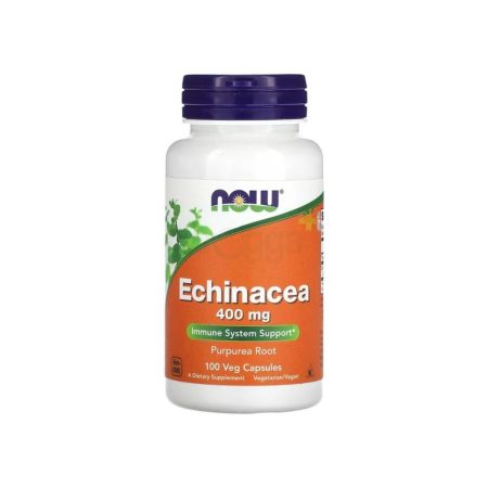 NOW Echinacea Purpurea Root 400mg 100 Capsules
