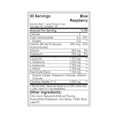 XTEND BCAA, Blue Raspberry Ice Protein Powder - 90 Serving