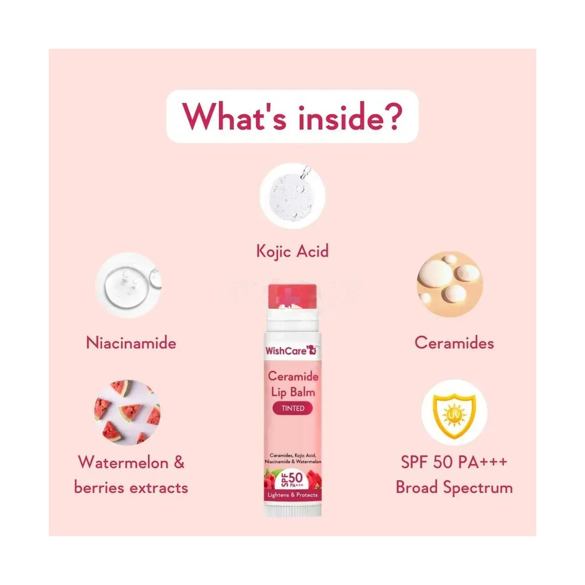 WishCare Ceramide Lip Balm Tinted with SPF 50 PA+++ 5g