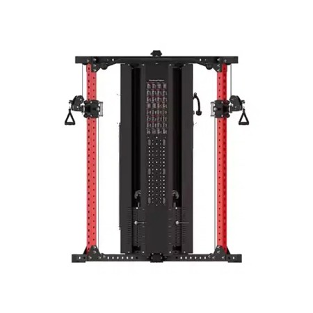 ALX Fitness Unilateral Functional Trainer-ALX-K117