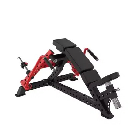 ALX Fitness Upslope Bird-ALX-K164
