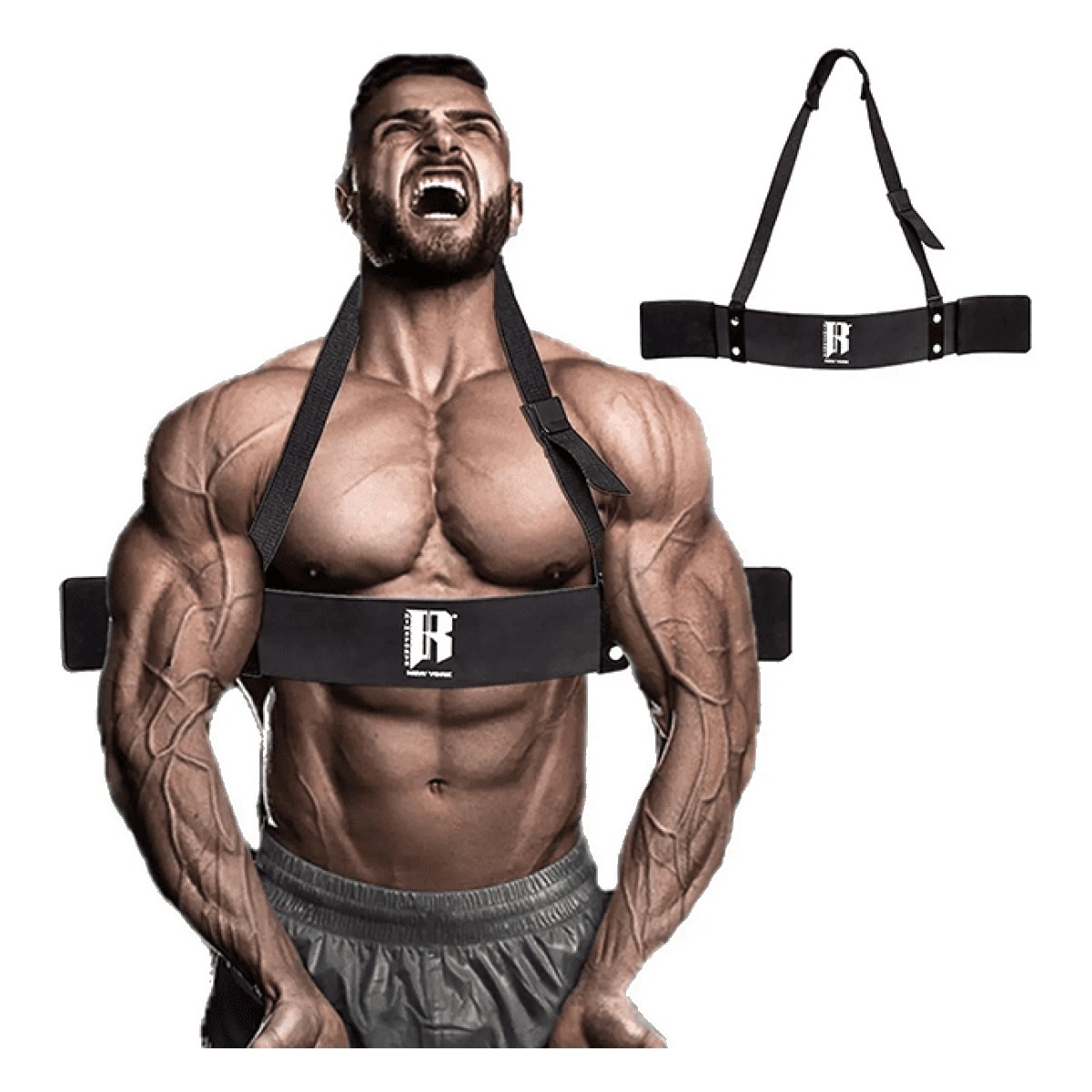 ARM BLASTER / Bicep Blaster PRO