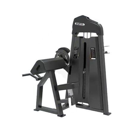 Biceps Curl – DHZ – E3030