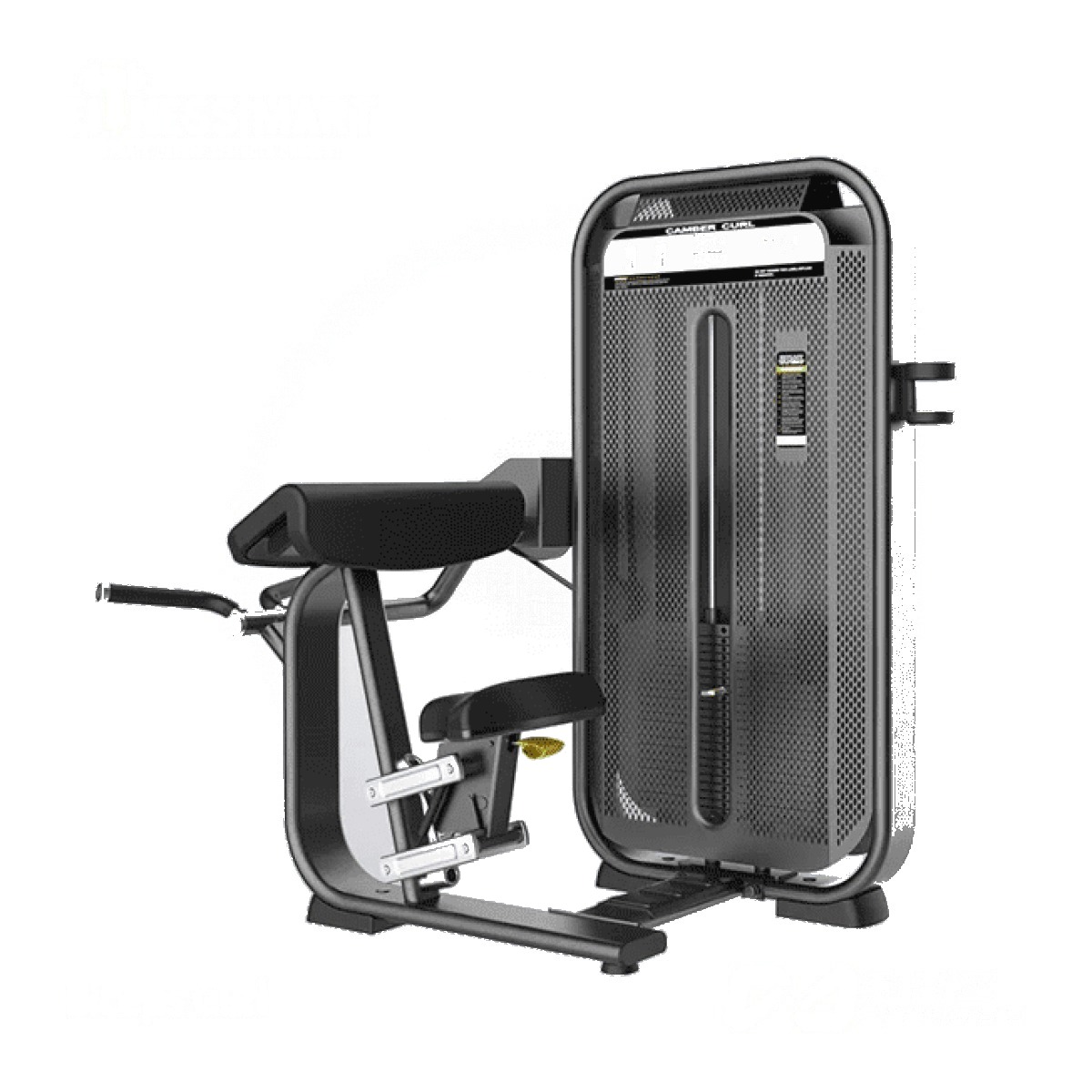 Biceps Curl-DHZ-E7030A