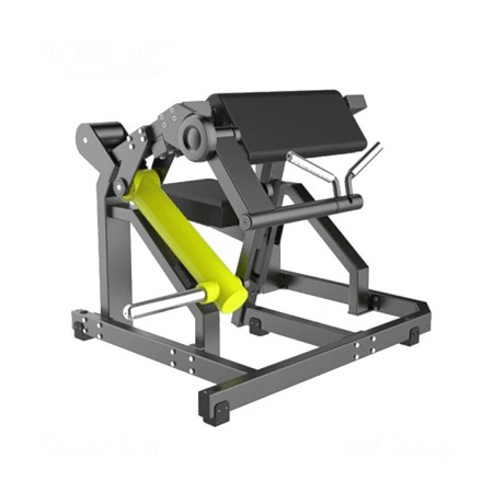 Biceps Curl – DHZ – Y970Z