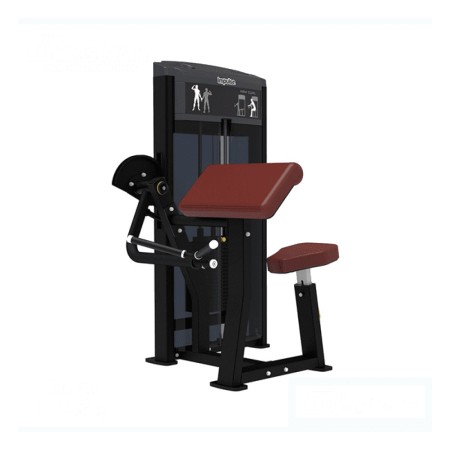 Biceps – IMPULSE – IF9303