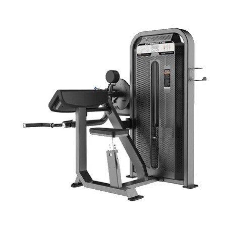 Biceps & Triceps-DHZ-E5087