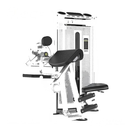 Camber Curl & Triceps-DHZ-U2087