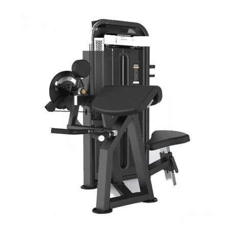 Camber Curl & Triceps-DHZ-U3087