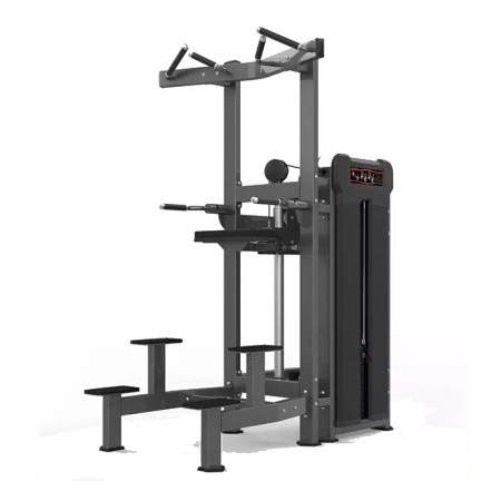 Chin Dip Assist – Realleader USA – M3-1020A