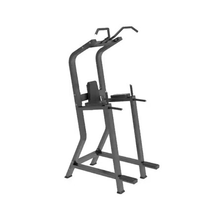 Chin Up+Dip+Vertical Knees Up BODY CHARGE USA-1647A