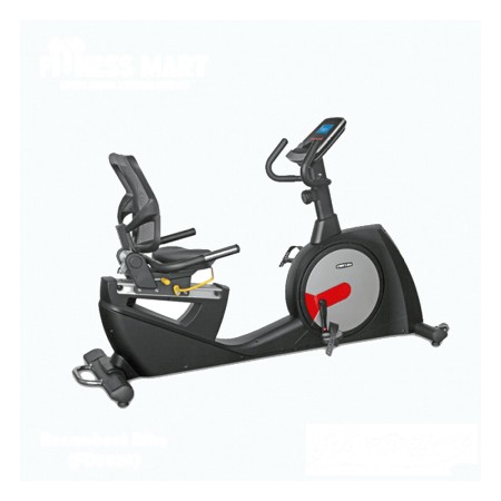 DAILY YOUTH – FD5024 Recumbent Bike