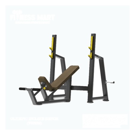 Daily Youth Olympic Incline Bench (FB8025)