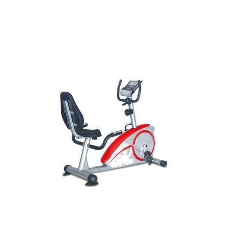 Daily Youth Premium Recumbent Bike FD5021