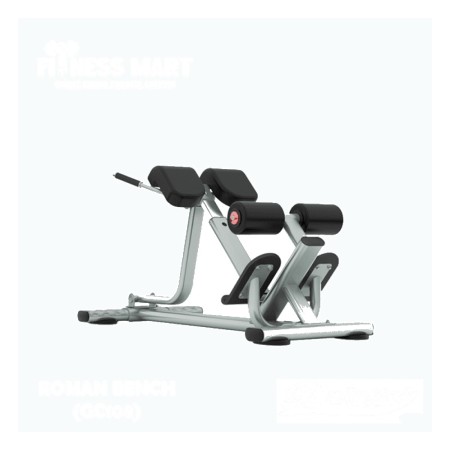 Daily Youth Roman Bench/Back Extension (GC108)