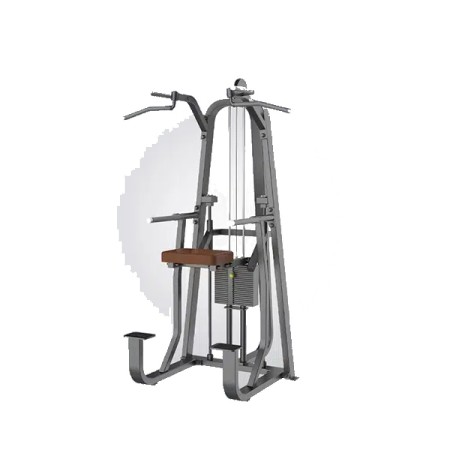 DHZ Chin Dip Assist Machine-T1009