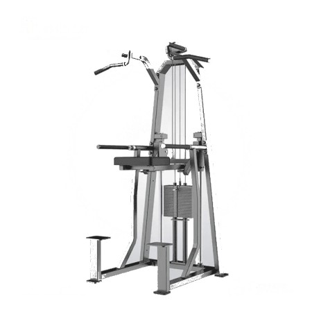 DHZ Dip Chin Assist-JN3009T