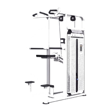 DHZ Dip Chin Assist-U2009CBZ