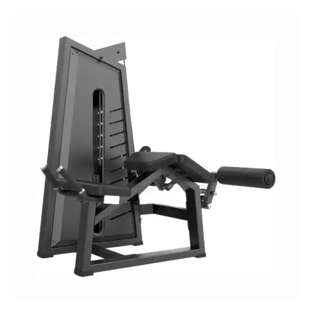 DHZ Prone Leg Curl-JN3001