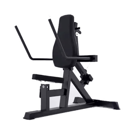 DHZ Triceps Extension/Dip Machine-A614