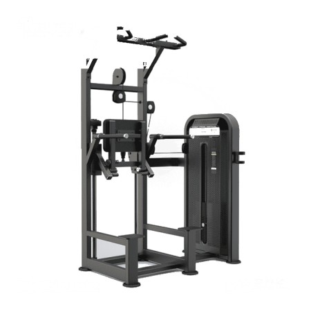 Dip Chin Assist U3009D-K