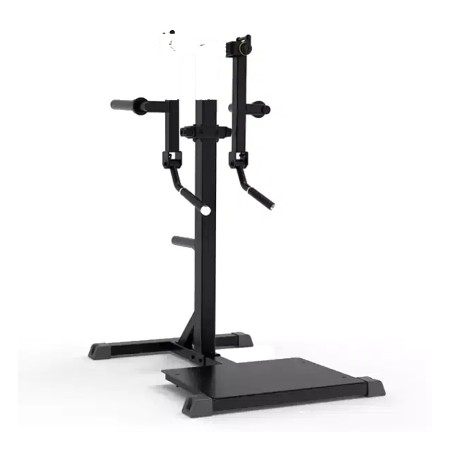 IFP1103 Standing Lateral Raise Machine-Impulse