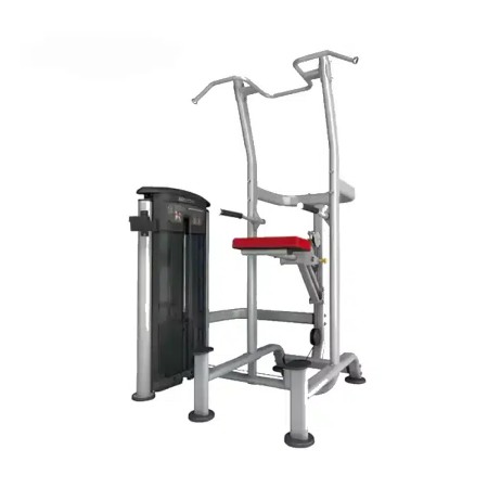 IMPULSE WEIGHT ASSISTED CHINDIP COMBO MACHINE-IT9520