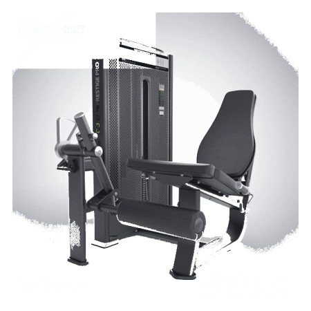 Leg Extension-DHZ-E7002A