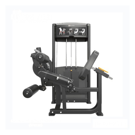 Leg Extension/Leg Curl Combo – IMPULSE – IF9328