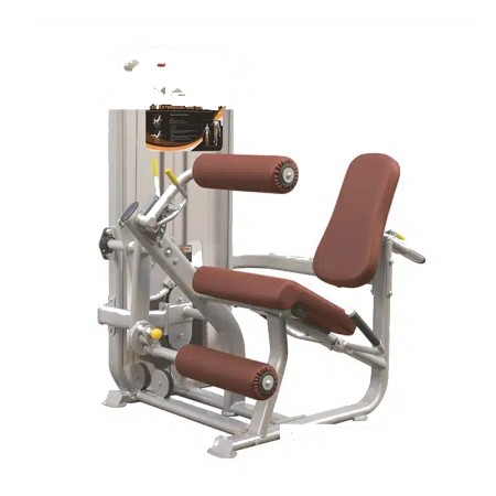 Leg Extension/Leg Curl – IMPULSE – PL9019
