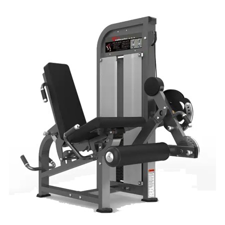 Leg Extension & Lying Leg Curl – Realleader USA – PF-1007