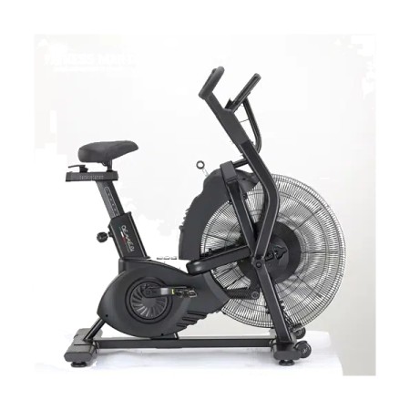 OEMMEBI Italian IREB2052 Commercial Air Bike