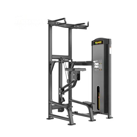 OEMMEBI Italian IRFB1513 Dip & Chin Assist Machine