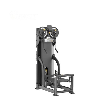 OEMMEBI Italian IRFB1545 Standing Lateral Raise
