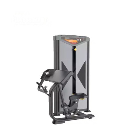 OEMMEBI Italian IRFB504B Bicep Curl Machine