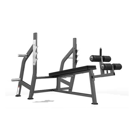 Olympic Decline Bench – Realleader USA – FW-2003