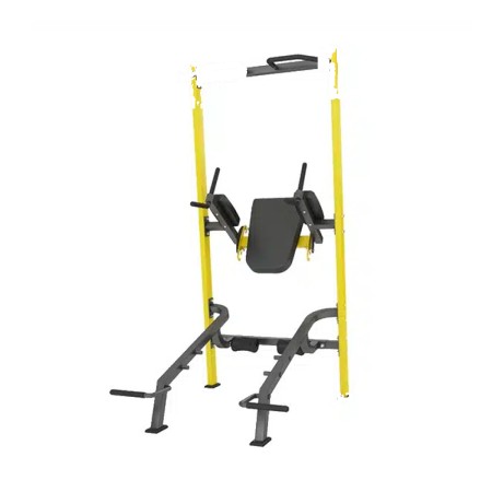Professional Ab Tower-MND-F100