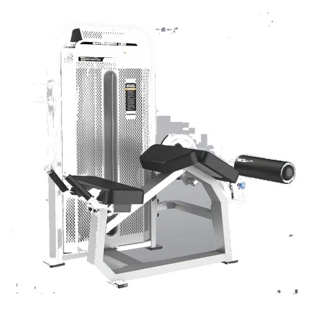 Prone Leg Curl – DHZ – E5001