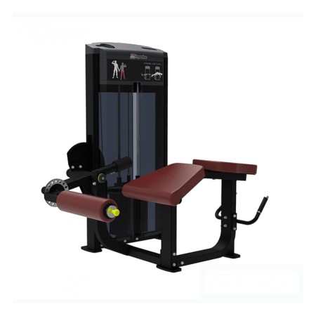 Prone Leg Curl – IMPULSE – IF9321
