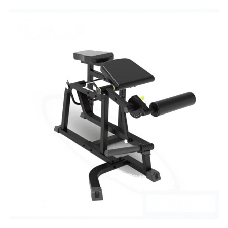 PRONE LEG CURL – IMPULSE – IFP1604