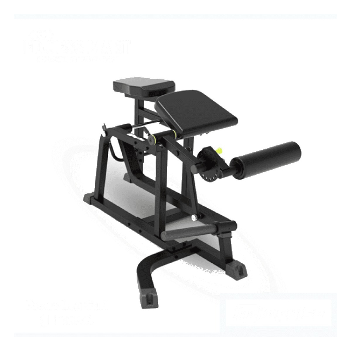 PRONE LEG CURL – IMPULSE – IFP1604