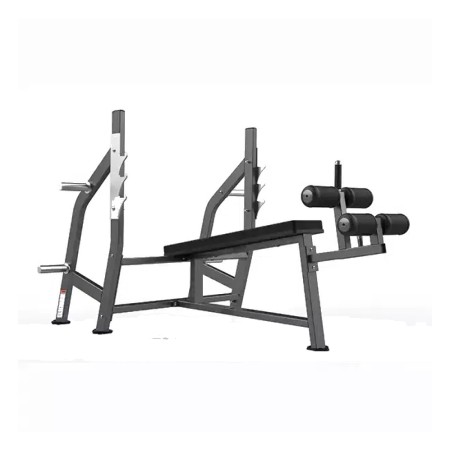 Realleader Olympic Decline Bench FW-2003