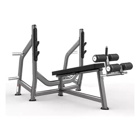 Realleader Olympic Decline Bench Press (FW-1003)