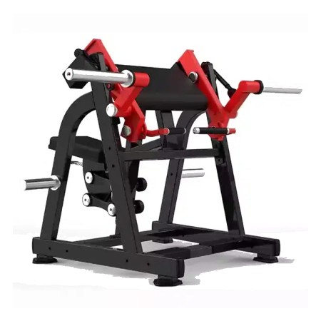 Realleader Seated Biceps Curl-LD1005