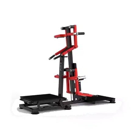 Realleader Standing Lateral Raise/Rear Deltoid-HS 1050