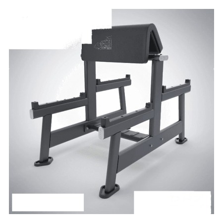 Standing Biceps Curl-DHZ-E7044