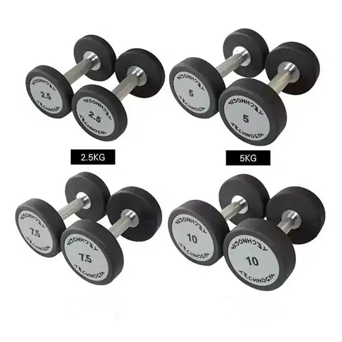 TECHNOGYM CPU FIXED DUMBBELL-2.5KG-15Kg Full Set (105Kg)