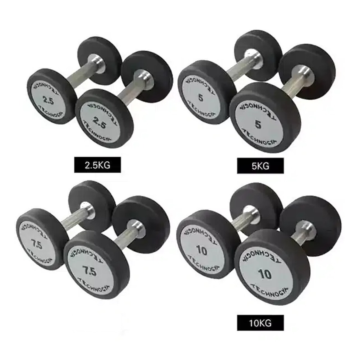 TECHNOGYM CPU FIXED DUMBBELL-2.5KG-25Kg Full Set (275Kg)