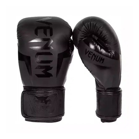 Venum luxurious boxing gloves